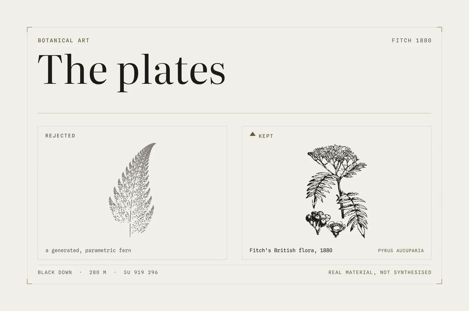 blackdown-advisory-design-compare-botanical